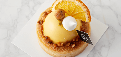 ����������Ÿ��Ʈ�װ���